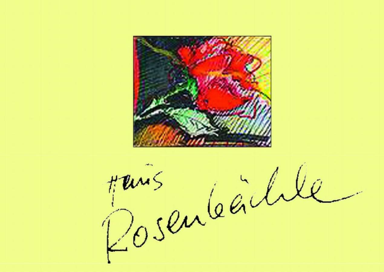 Haus Rosenbaechle Apartamento Bad Hindelang Exterior foto